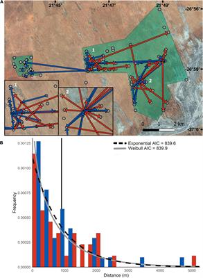 Subterranean Life-Style Does Not Limit Long Distance Dispersal in African Mole-Rats